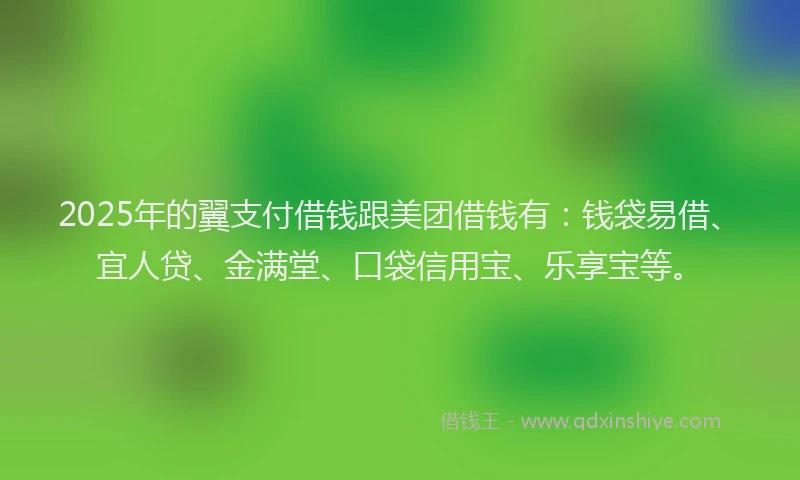 2025年的翼支付借钱跟美团借钱有：钱袋易借、宜人贷、金满堂、口袋信用宝、乐享宝等。