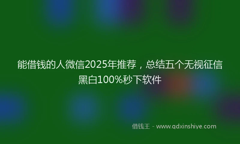 能借钱的人微信2025年推荐，总结五个无视征信黑白100%秒下软件