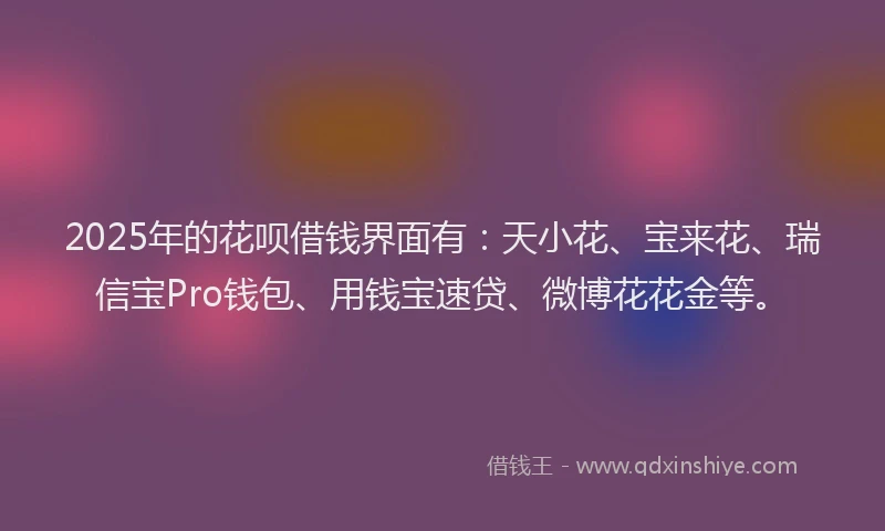 2025年的花呗借钱界面有：天小花、宝来花、瑞信宝Pro钱包、用钱宝速贷、微博花花金等。