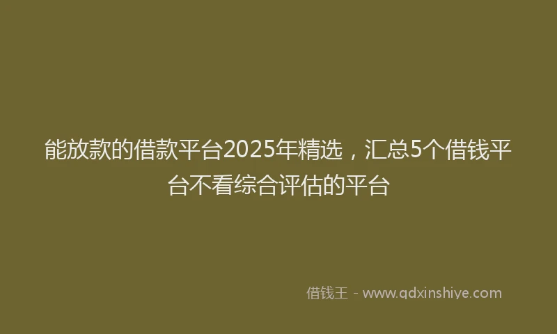能放款的借款平台2025年精选，汇总5个借钱平台不看综合评估的平台