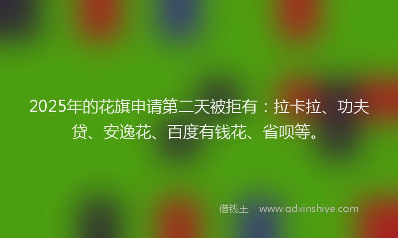 2025年的花旗申请第二天被拒有：拉卡拉、功夫贷、安逸花、百度有钱花、省呗等。