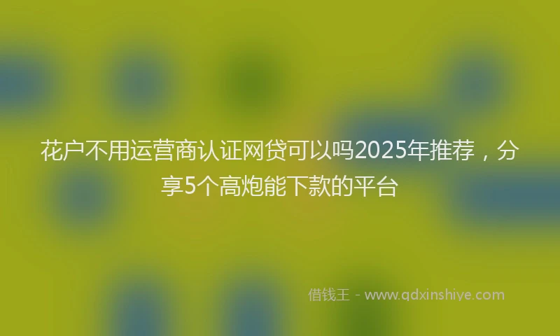 花户不用运营商认证网贷可以吗2025年推荐，分享5个高炮能下款的平台