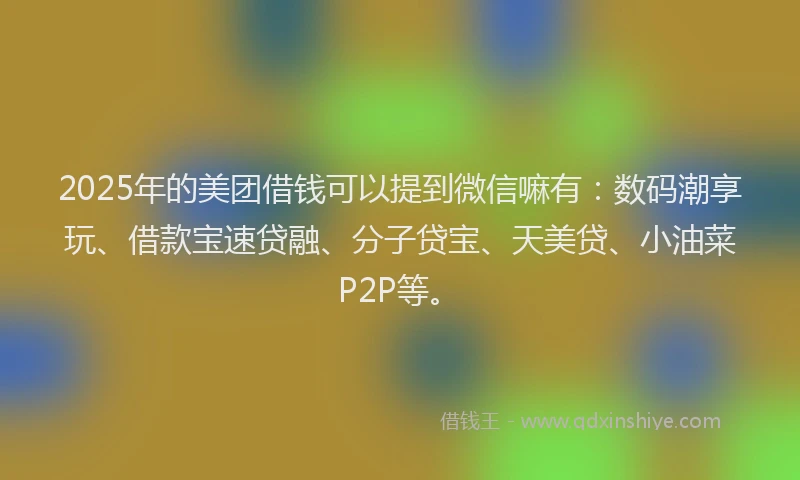 2025年的美团借钱可以提到微信嘛有：数码潮享玩、借款宝速贷融、分子贷宝、天美贷、小油菜P2P等。