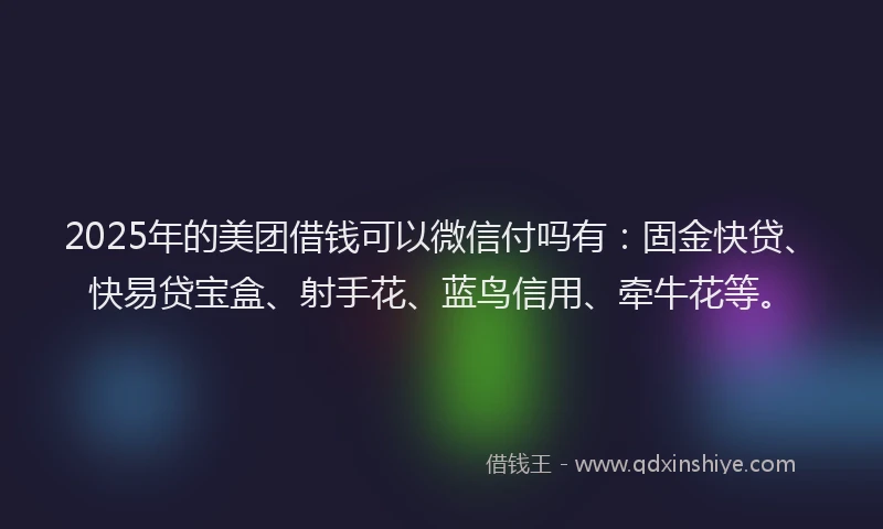 2025年的美团借钱可以微信付吗有：固金快贷、快易贷宝盒、射手花、蓝鸟信用、牵牛花等。