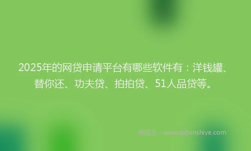 2025年的网贷申请平台有哪些软件有：洋钱罐、替你还、功夫贷、拍拍贷、51人品贷等。