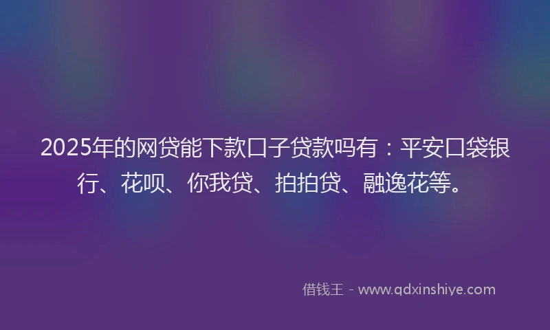 2025年的网贷能下款口子贷款吗有：平安口袋银行、花呗、你我贷、拍拍贷、融逸花等。