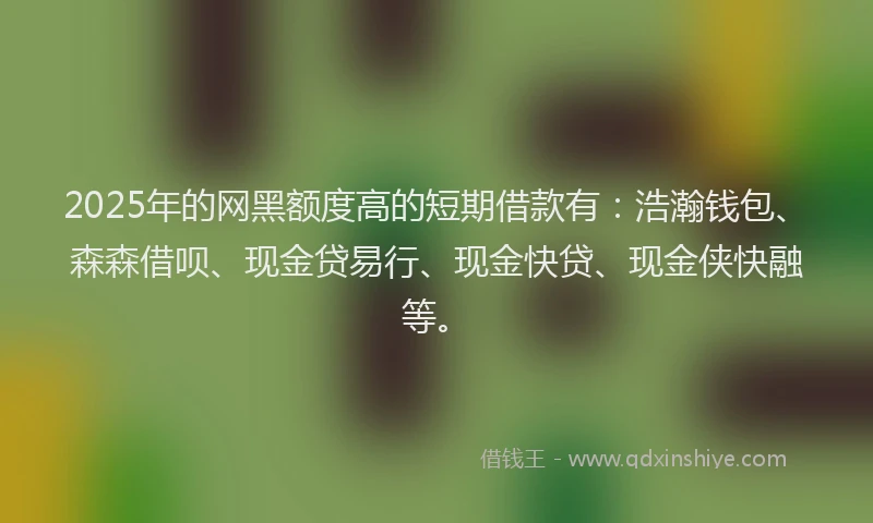 2025年的网黑额度高的短期借款有：浩瀚钱包、森森借呗、现金贷易行、现金快贷、现金侠快融等。