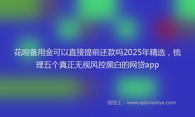 花呗备用金可以直接提前还款吗2025年精选，梳理五个真正无视风控黑白的网贷app