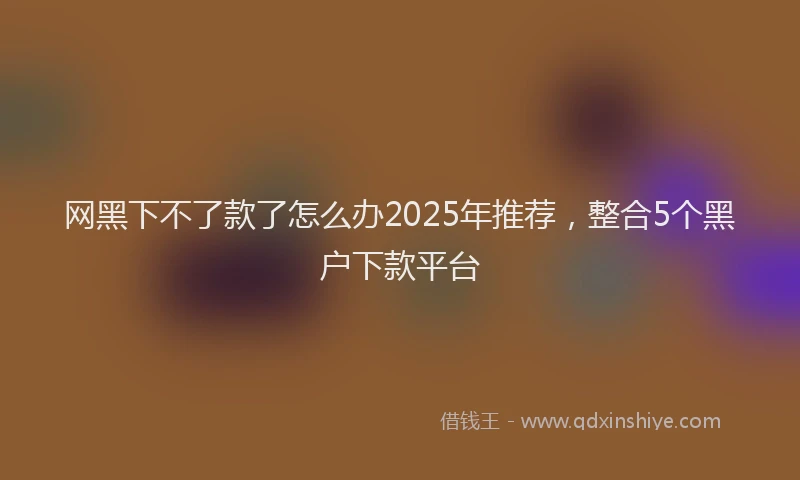 网黑下不了款了怎么办2025年推荐，整合5个黑户下款平台