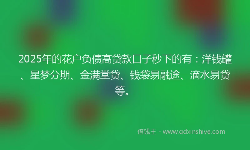 2025年的花户负债高贷款口子秒下的有：洋钱罐、星梦分期、金满堂贷、钱袋易融途、滴水易贷等。