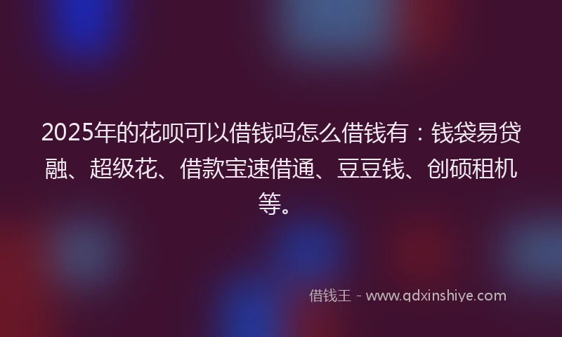2025年的花呗可以借钱吗怎么借钱有：钱袋易贷融、超级花、借款宝速借通、豆豆钱、创硕租机等。