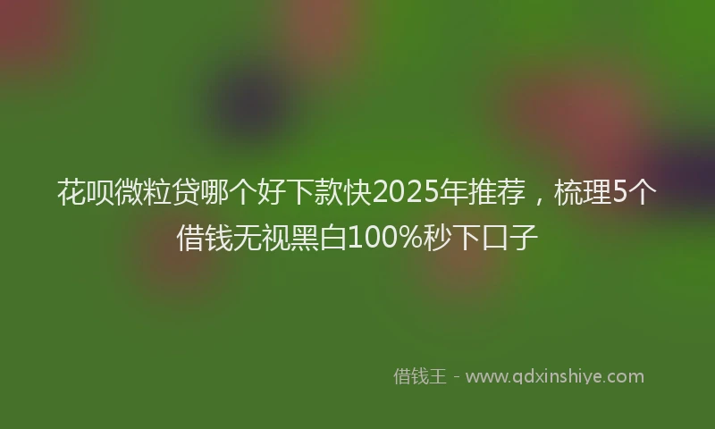 花呗微粒贷哪个好下款快2025年推荐，梳理5个借钱无视黑白100%秒下口子