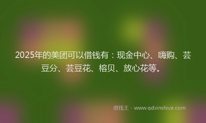 2025年的美团可以借钱有：现金中心、嗨购、芸豆分、芸豆花、榕贝、放心花等。