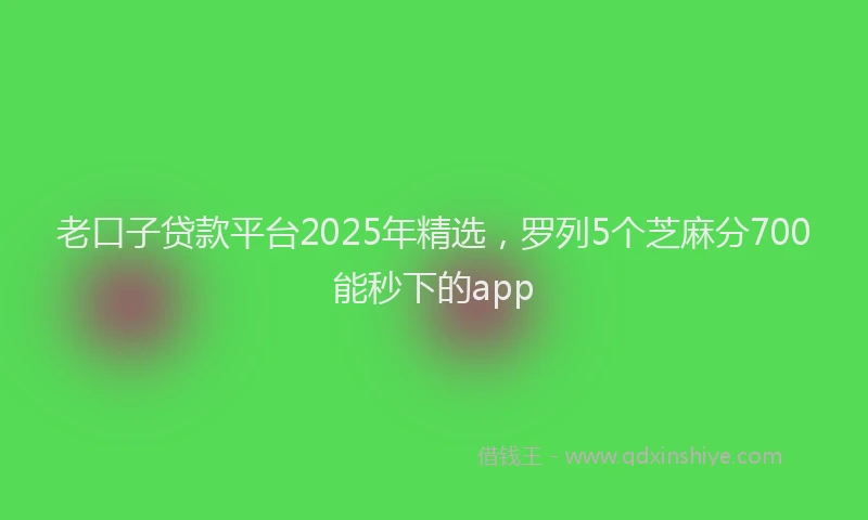 老口子贷款平台2025年精选，罗列5个芝麻分700能秒下的app