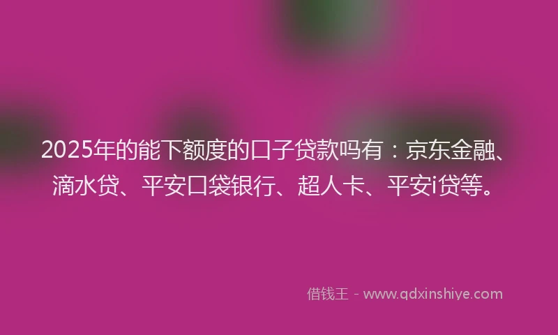 2025年的能下额度的口子贷款吗有：京东金融、滴水贷、平安口袋银行、超人卡、平安i贷等。