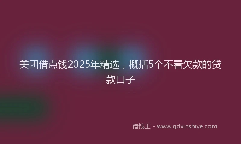 美团借点钱2025年精选，概括5个不看欠款的贷款口子