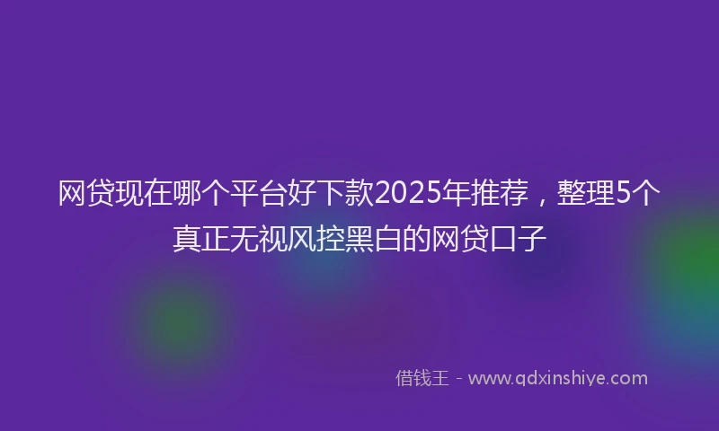 网贷现在哪个平台好下款2025年推荐，整理5个真正无视风控黑白的网贷口子