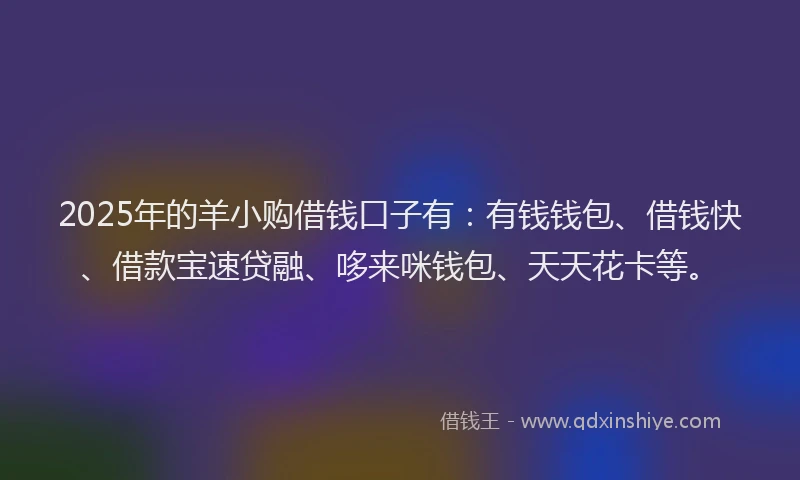 2025年的羊小购借钱口子有：有钱钱包、借钱快、借款宝速贷融、哆来咪钱包、天天花卡等。