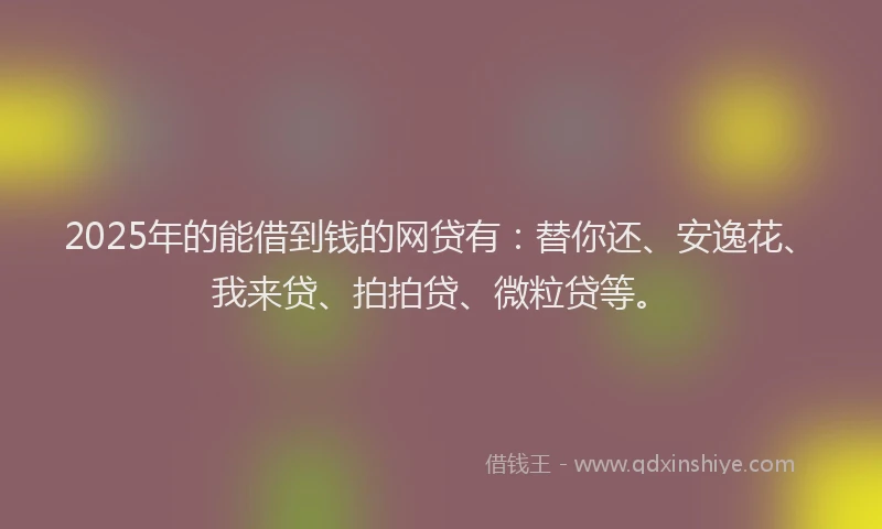 2025年的能借到钱的网贷有：替你还、安逸花、我来贷、拍拍贷、微粒贷等。