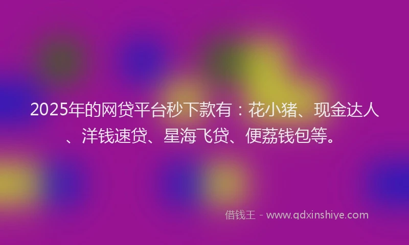2025年的网贷平台秒下款有：花小猪、现金达人、洋钱速贷、星海飞贷、便荔钱包等。