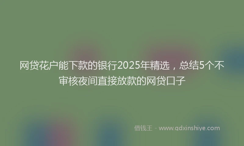 网贷花户能下款的银行2025年精选，总结5个不审核夜间直接放款的网贷口子
