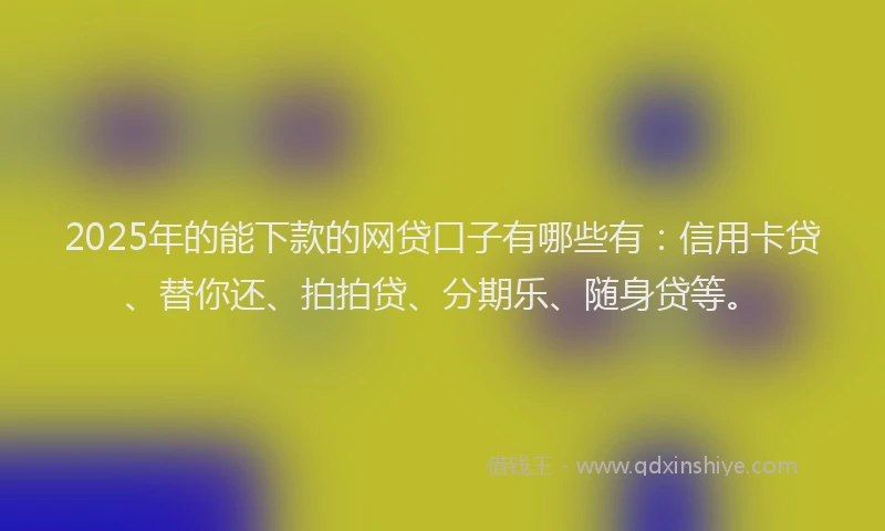 2025年的能下款的网贷口子有哪些有：信用卡贷、替你还、拍拍贷、分期乐、随身贷等。