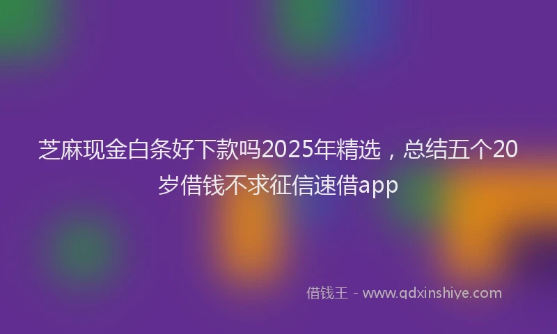 芝麻现金白条好下款吗2025年精选，总结五个20岁借钱不求征信速借app