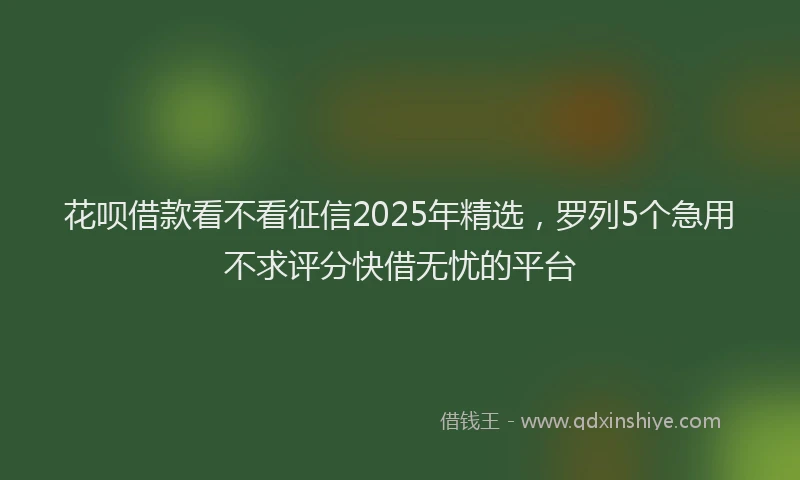花呗借款看不看征信2025年精选，罗列5个急用不求评分快借无忧的平台