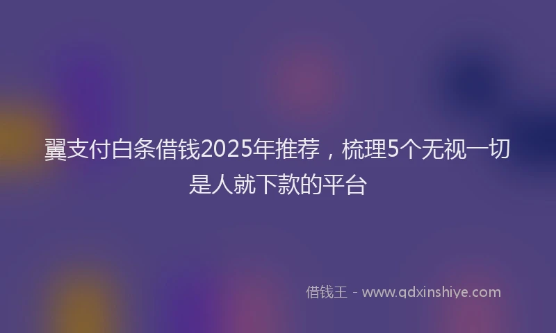翼支付白条借钱2025年推荐，梳理5个无视一切是人就下款的平台