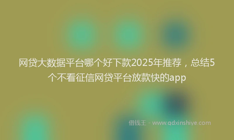 网贷大数据平台哪个好下款2025年推荐，总结5个不看征信网贷平台放款快的app