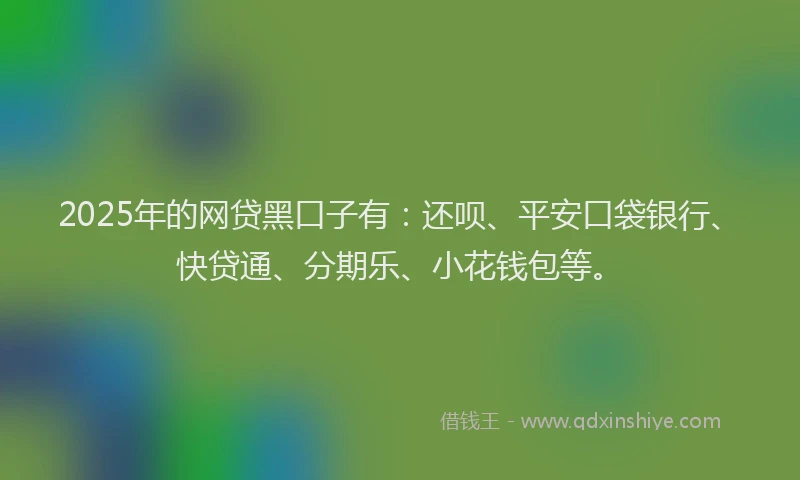 2025年的网贷黑口子有：还呗、平安口袋银行、快贷通、分期乐、小花钱包等。