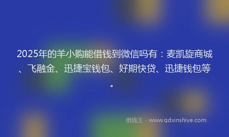2025年的羊小购能借钱到微信吗有：麦凯旋商城、飞融金、迅捷宝钱包、好期快贷、迅捷钱包等。