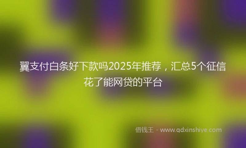 翼支付白条好下款吗2025年推荐，汇总5个征信花了能网贷的平台