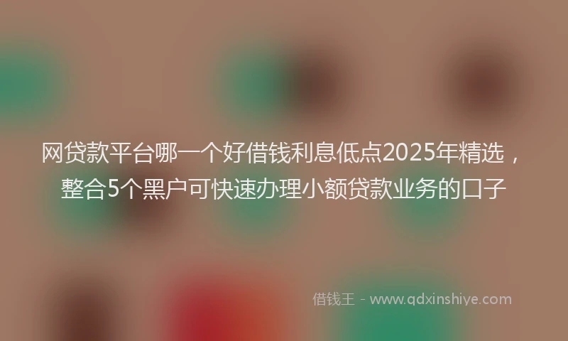 网贷款平台哪一个好借钱利息低点2025年精选，整合5个黑户可快速办理小额贷款业务的口子