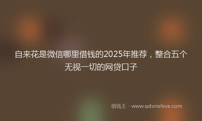 自来花是微信哪里借钱的2025年推荐，整合五个无视一切的网贷口子