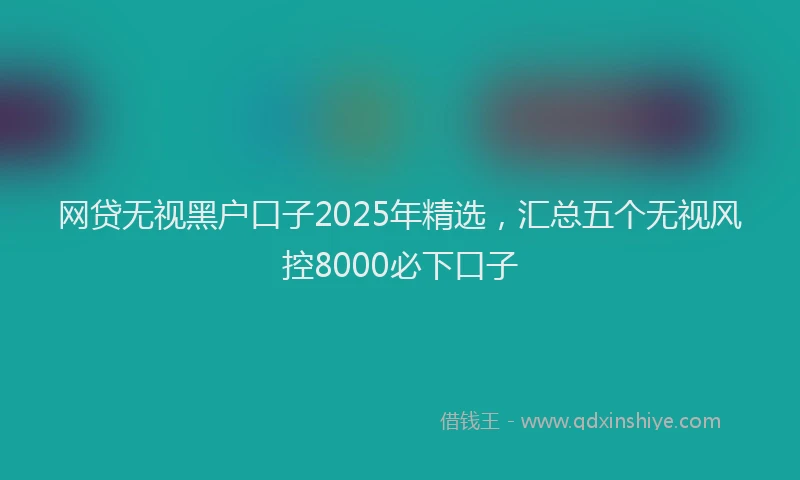 网贷无视黑户口子2025年精选，汇总五个无视风控8000必下口子