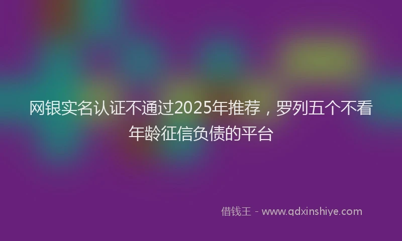 网银实名认证不通过2025年推荐，罗列五个不看年龄征信负债的平台
