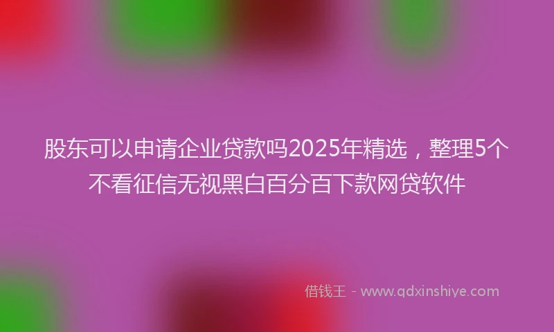 股东可以申请企业贷款吗2025年精选，整理5个不看征信无视黑白百分百下款网贷软件