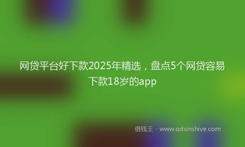 网贷平台好下款2025年精选，盘点5个网贷容易下款18岁的app
