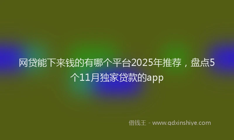 网贷能下来钱的有哪个平台2025年推荐，盘点5个11月独家贷款的app