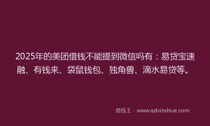 2025年的美团借钱不能提到微信吗有：易贷宝速融、有钱来、袋鼠钱包、独角兽、滴水易贷等。