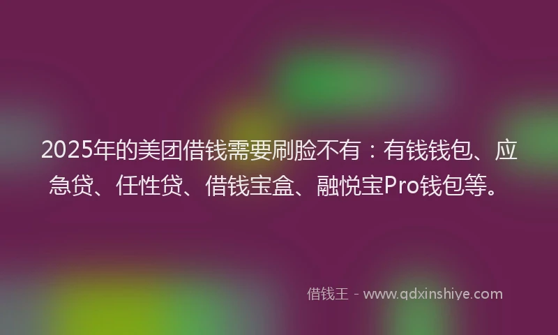 2025年的美团借钱需要刷脸不有：有钱钱包、应急贷、任性贷、借钱宝盒、融悦宝Pro钱包等。