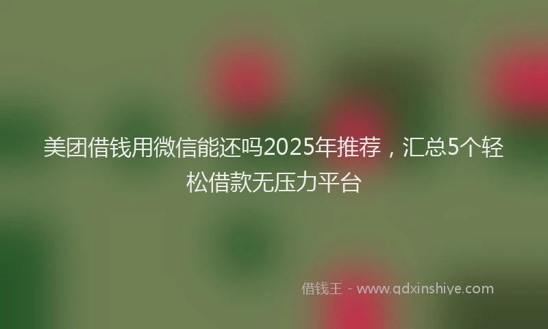 美团借钱用微信能还吗2025年推荐，汇总5个轻松借款无压力平台