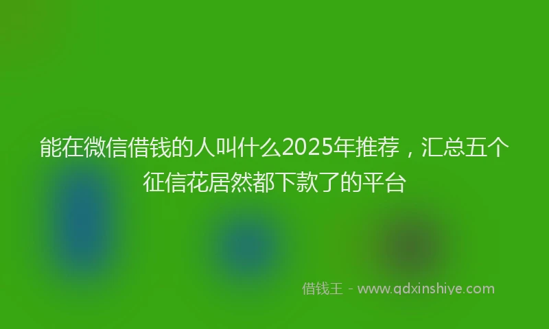 能在微信借钱的人叫什么2025年推荐，汇总五个征信花居然都下款了的平台