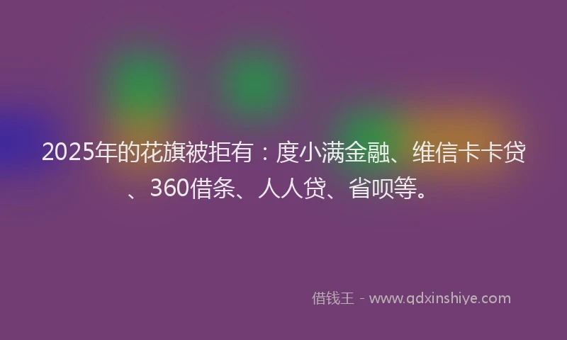 2025年的花旗被拒有：度小满金融、维信卡卡贷、360借条、人人贷、省呗等。