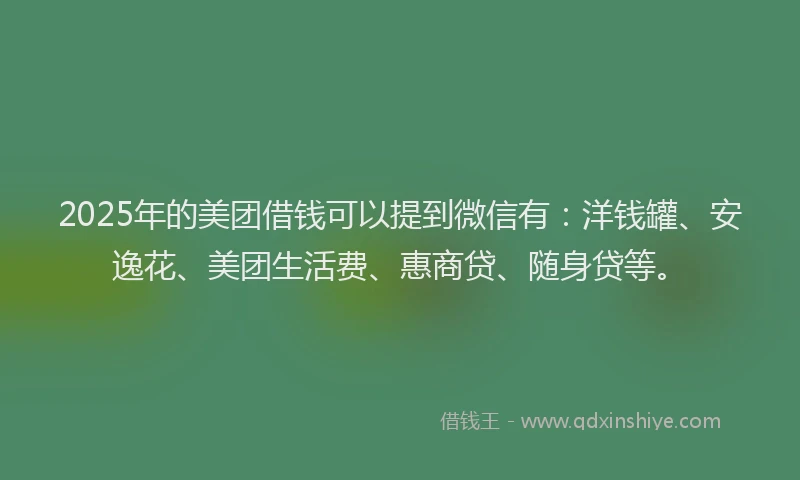 2025年的美团借钱可以提到微信有：洋钱罐、安逸花、美团生活费、惠商贷、随身贷等。