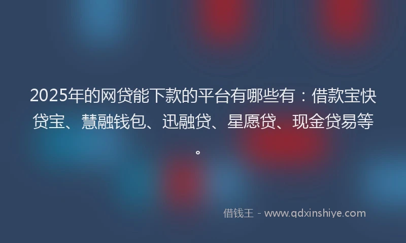 2025年的网贷能下款的平台有哪些有：借款宝快贷宝、慧融钱包、迅融贷、星愿贷、现金贷易等。