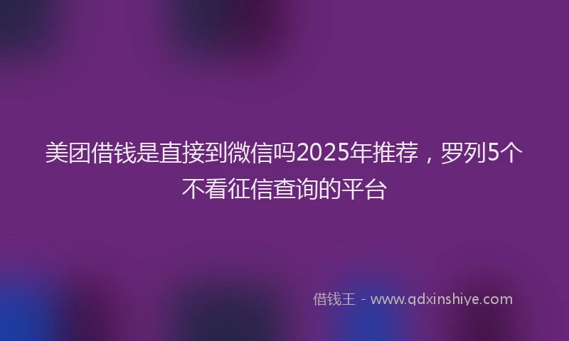 美团借钱是直接到微信吗2025年推荐，罗列5个不看征信查询的平台