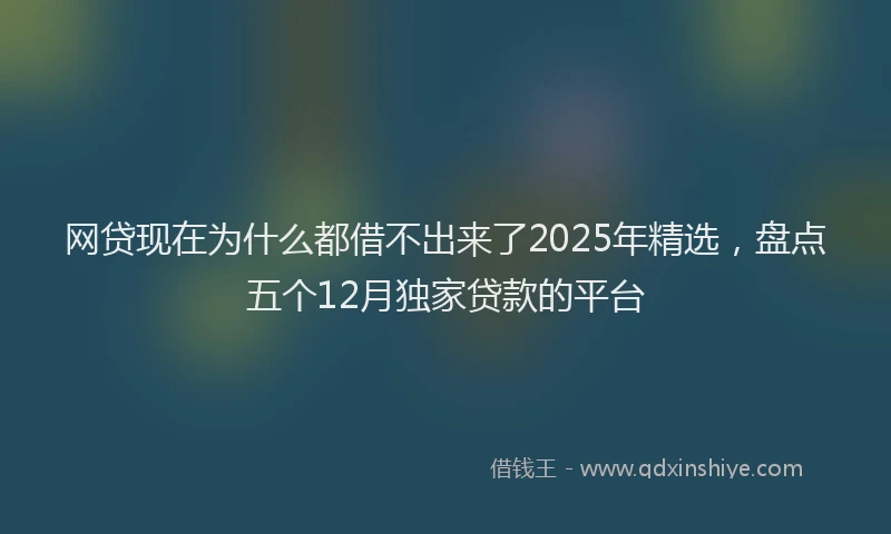 网贷现在为什么都借不出来了2025年精选，盘点五个12月独家贷款的平台