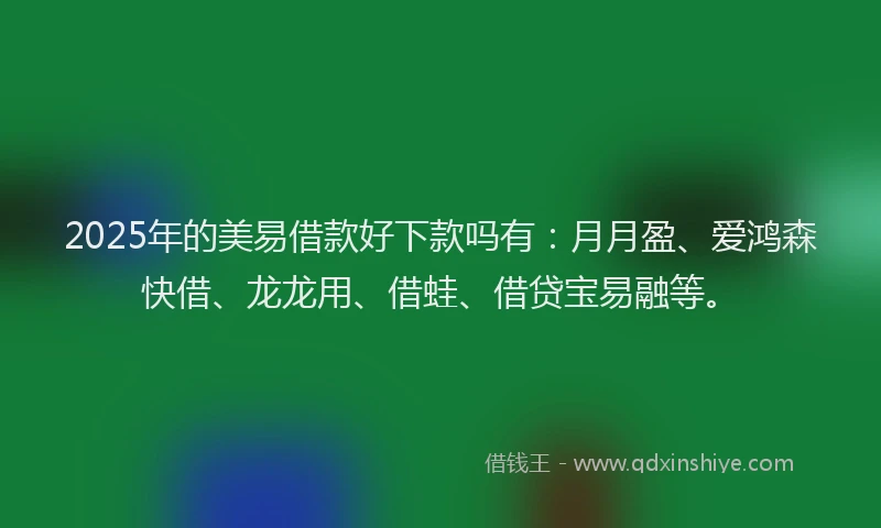 2025年的美易借款好下款吗有：月月盈、爱鸿森快借、龙龙用、借蛙、借贷宝易融等。